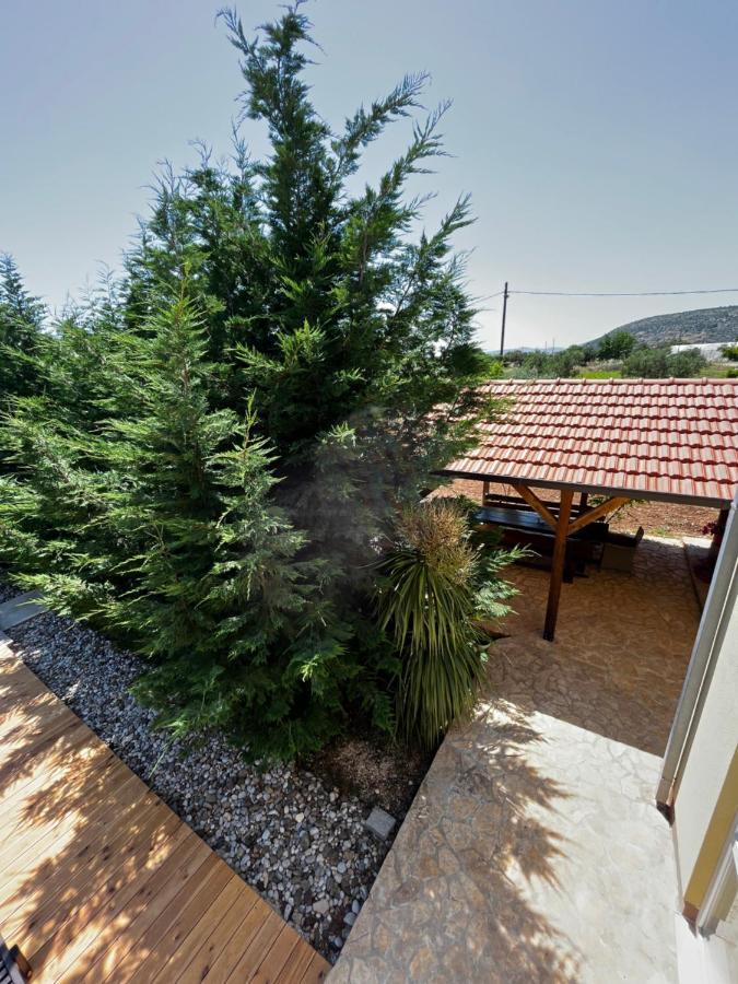 Orange Tree Garden Lägenhet Trogir Exteriör bild
